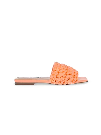 STEVE MADDEN